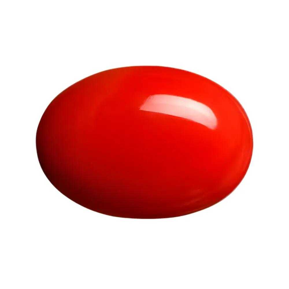 Coral Gemstone RudraTree Bangalore