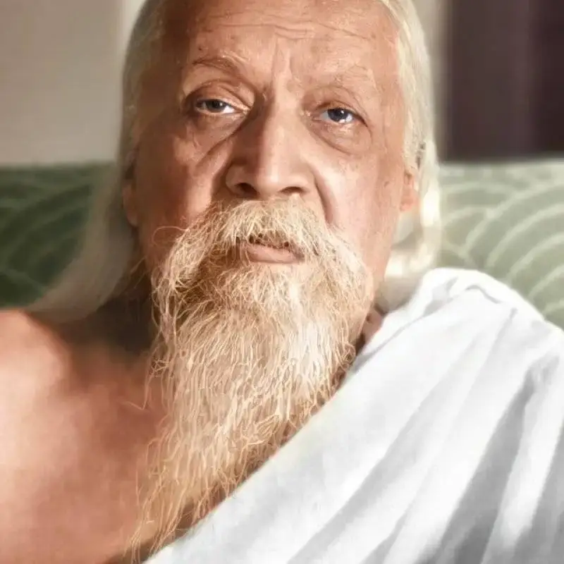 His Holiness Aurobindo